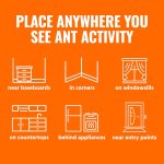 TERRO T300B Ant Killer Bait Stations – Liquid Bait for Indoor Ant Control (12 Count) - Image 4